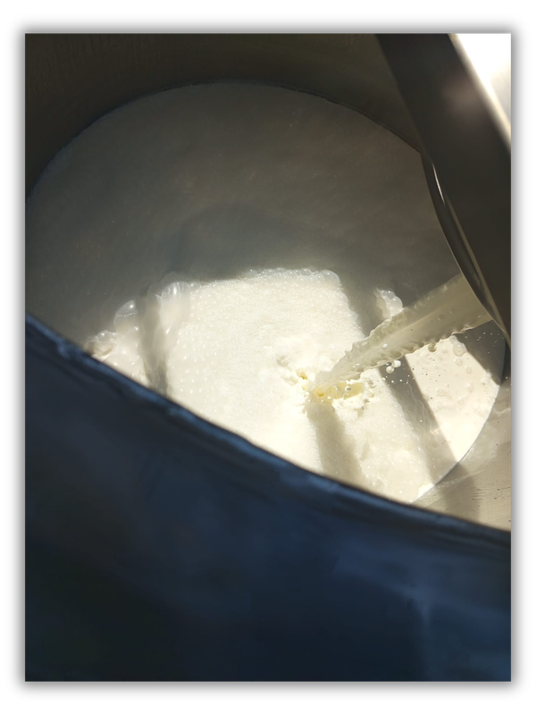 Interno di un impianto durante la produzione della ricotta