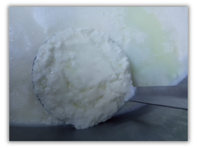 Ricotta appena prodotta
