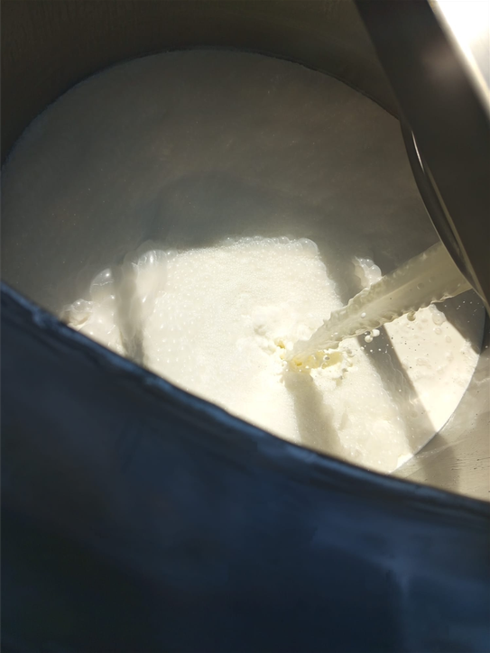 Ricotta durante il processo di produzione