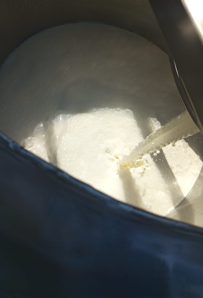 Dettaglio Ricotta