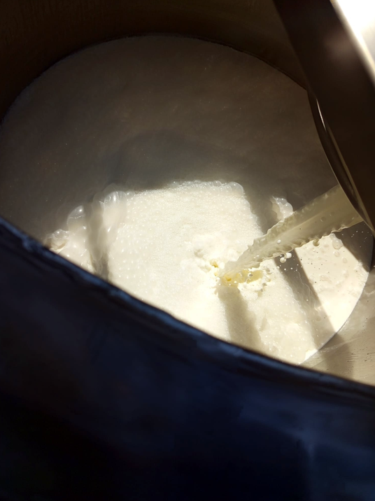 Dettaglio del processo RICOBOOSTER