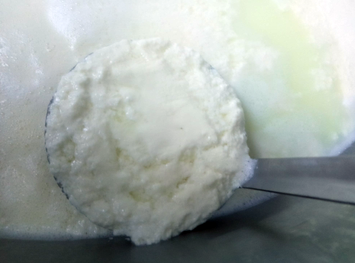 Processo di produzione della ricotta
