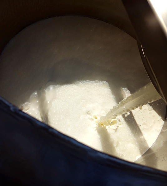 Lavorazione formaggio e ricotta Ricobooster